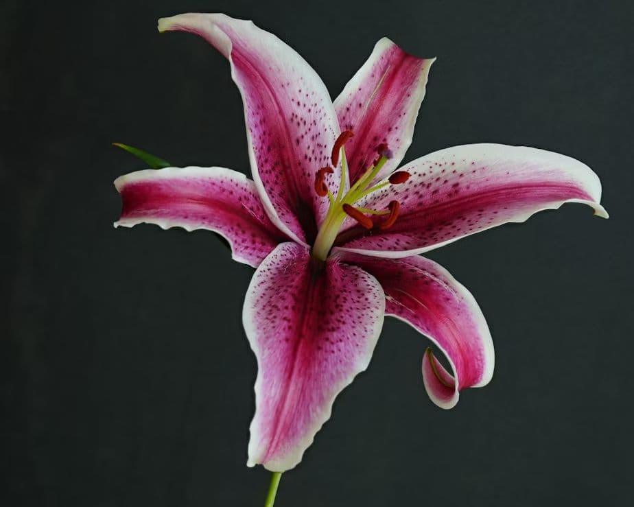 why-your-small-business-website-is-losing-customers